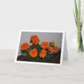 Bright Orange Marigold Blume Portrait Karte (Vorderseite)