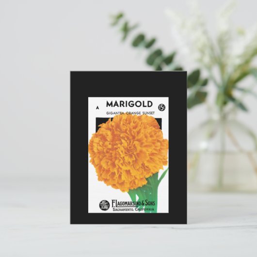 Bright Orange Marigold Postkarte (Stehend Vorderseite)