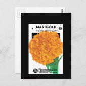 Bright Orange Marigold Postkarte (Vorne/Hinten)