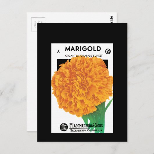 Bright Orange Marigold Postkarte (Vorne/Hinten)