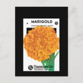 Bright Orange Marigold Postkarte (Vorderseite)