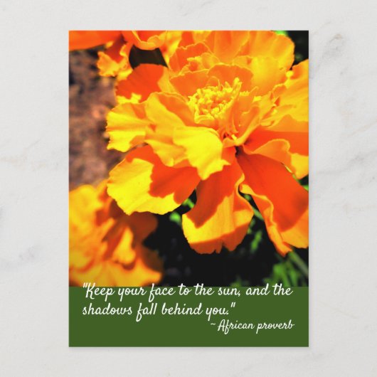 Bright Orange Marigolds Blume Inspirierte Zitat Postkarte (Vorderseite)