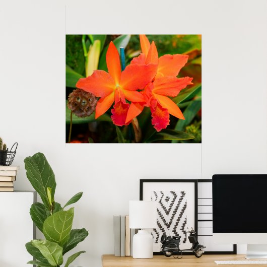 Bright Orange Orchid Poster (Heimbüro)