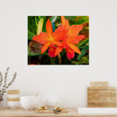 Bright Orange Orchid Poster (Küche)
