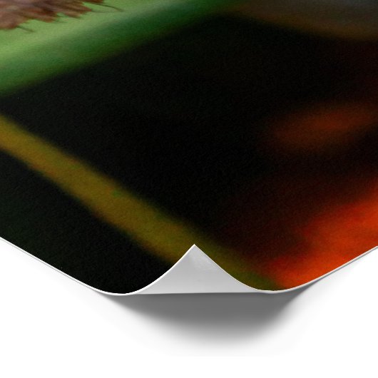 Bright Orange Orchid Poster (Ecke)