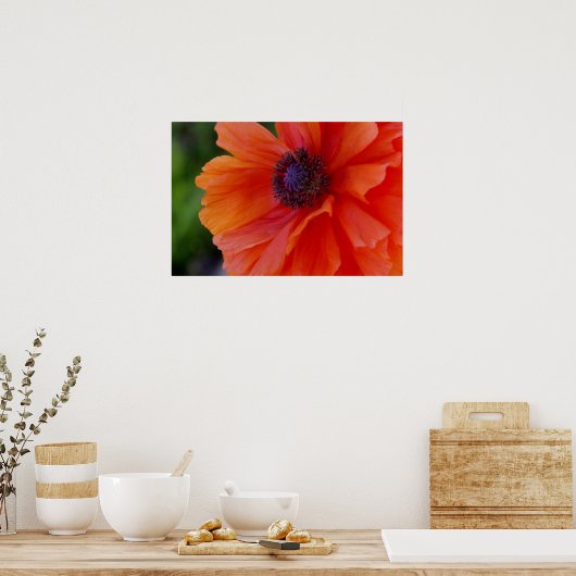 Bright Orange Poppy Poster (Küche)