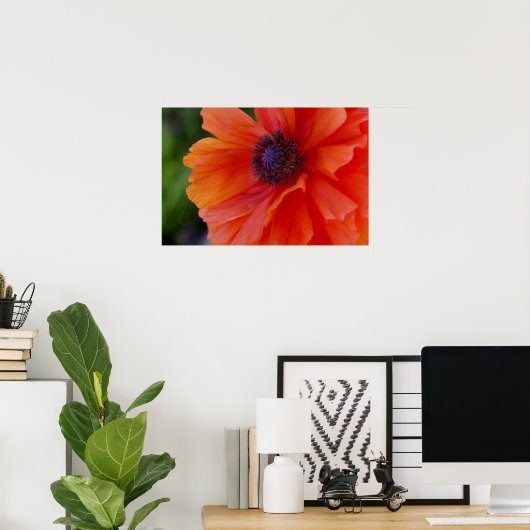 Bright Orange Poppy Poster (Heimbüro)