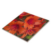Bright Orange Rhododendron Blooms Floral Fliese (Seite)