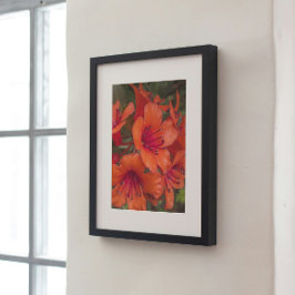 Bright Orange Rhododendron Blooms Floral Poster