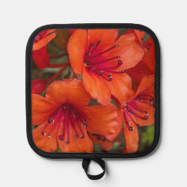 Bright Orange Rhododendron Blooms Floral Topflappen