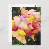 Bright Orange Snapdragon Blume Postkarte (Vorne/Hinten)