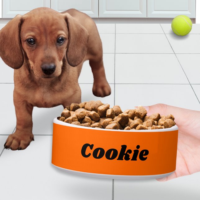 Bright Orange Stilvolle moderne Personalisierte Hu Napf (An orange dog bowl, single color with white trim, personalized with your pet's name in a modern font)