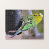 Bright Parakeet Bird auf Camera Lens Puzzle (Horizontal)