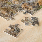 Bright pink cactus flowers in Red Rock Canyon, Nv Puzzle (Seite)