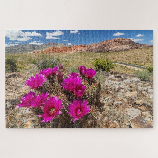 Bright pink cactus flowers in Red Rock Canyon, Nv Puzzle (Horizontal)