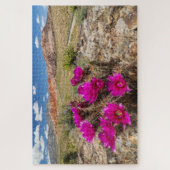 Bright pink cactus flowers in Red Rock Canyon, Nv Puzzle (Vertikal)