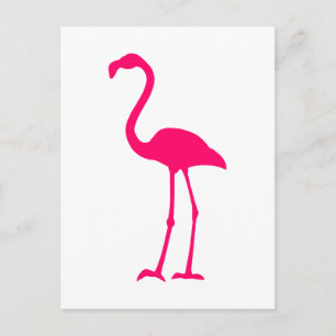 Bright Pink Flamingo Postkarte