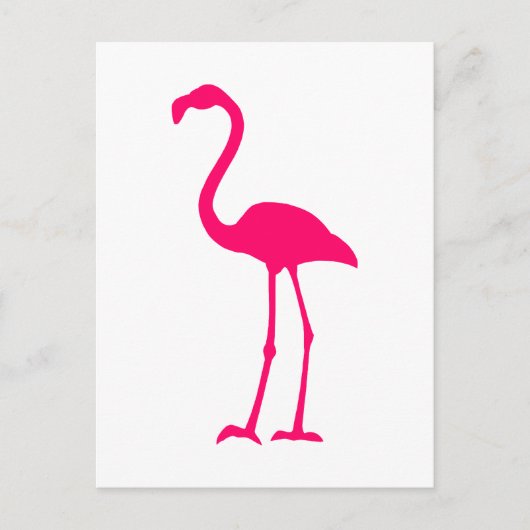 Bright Pink Flamingo Postkarte (Vorderseite)