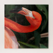 Bright Pink Flamingo Puzzle (Horizontal)