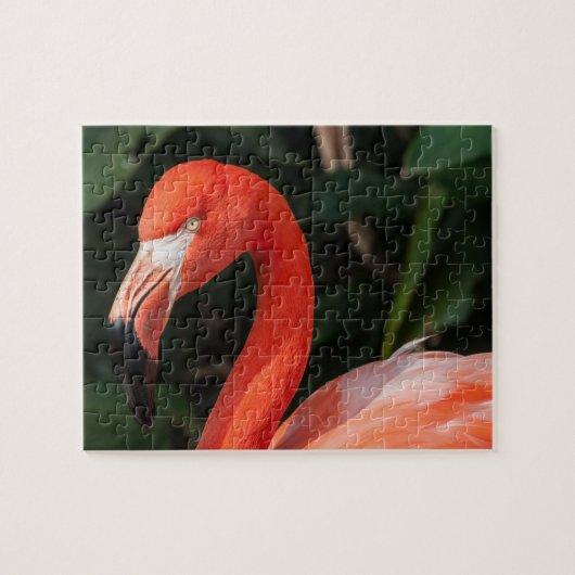 Bright Pink Flamingo Puzzle (Horizontal)