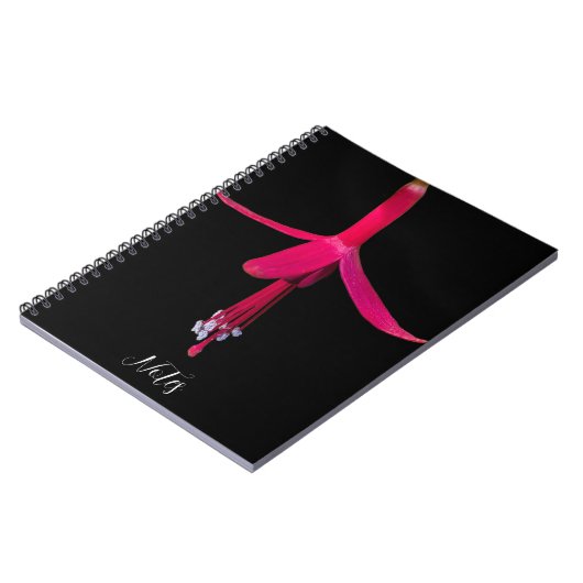 Bright Pink Fuchsia Flower on Black Notizblock (Linke Seite)