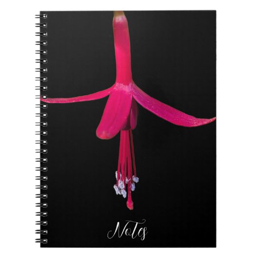 Bright Pink Fuchsia Flower on Black Notizblock (Vorderseite)