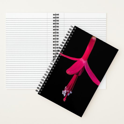 Bright Pink Fuchsia Flower on Black Notizblock (Innen)