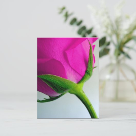 Bright PInk Rose Postkarte (Stehend Vorderseite)