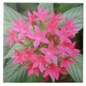 Bright Pink Tropical Flowers Fliese (Vorderseite)