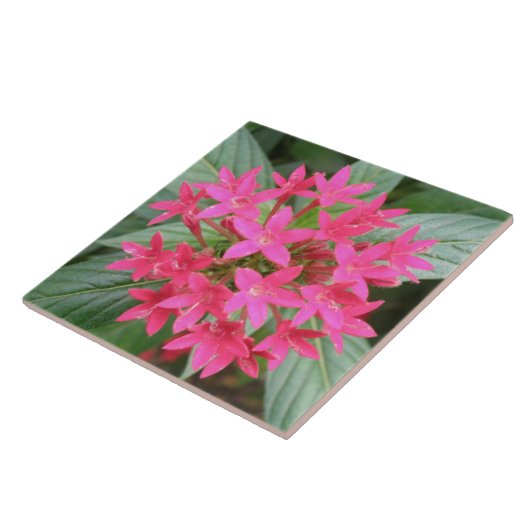 Bright Pink Tropical Flowers Fliese (Seite)
