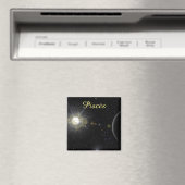 Bright Pisces Magnet (In Situ (Geschirrspüler))