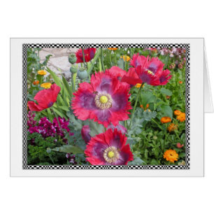 Bright Poppies