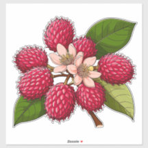 Bright Rambutan Cluster With Pink Flowers