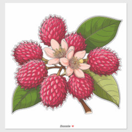 Bright Rambutan Cluster With Pink Flowers Aufkleber