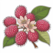 Bright Rambutan Cluster With Pink Flowers Aufkleber (Vorderseite)