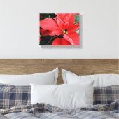 Bright Red Christmas Poinsettia Leinwanddruck (Insitu (Schlafzimmer))