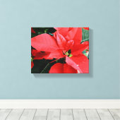 Bright Red Christmas Poinsettia Leinwanddruck (Insitu (Holzboden))