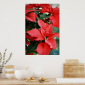 Bright Red Christmas Poinsettia Poster (Küche)