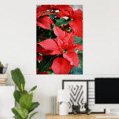 Bright Red Christmas Poinsettia Poster (Heimbüro)