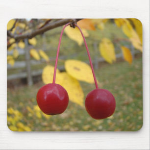 Bright Red Crab Apples Mousepad