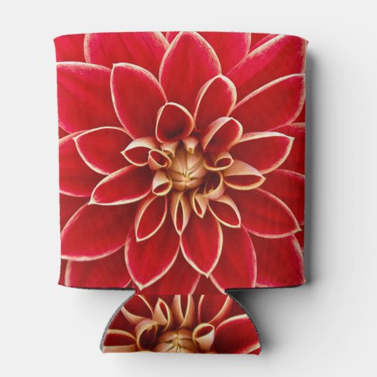 Bright Red Dahlia Flower Close Up Photo Dosenkühler (Rückseite)