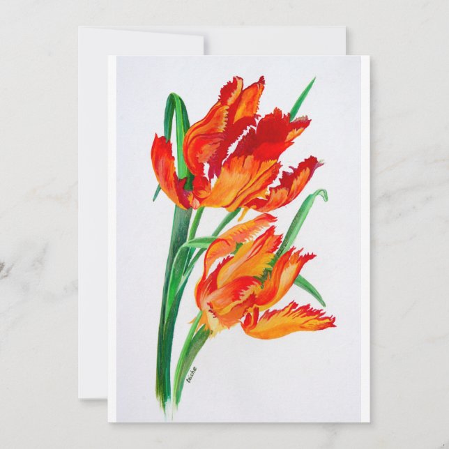 Bright Red Flamboyant Parrot Tulips (Vorderseite)