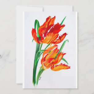 Bright Red Flamboyant Parrot Tulips