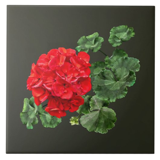 Bright Red Geranium Fliese (Vorderseite)