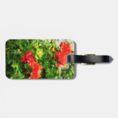 Bright Red Geraniums Gepäckanhänger (Rückseite horizontal)