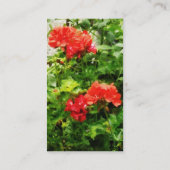 Bright Red Geraniums Visitenkarte (Rückseite)