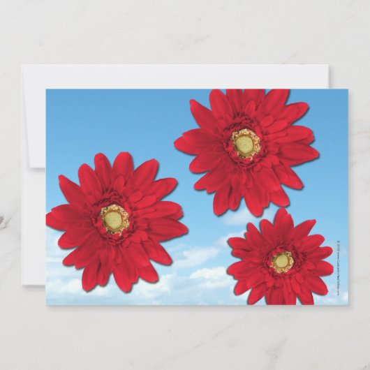 Bright Red Gerbera Daisies Summer Brautparty Einladung (Rückseite)