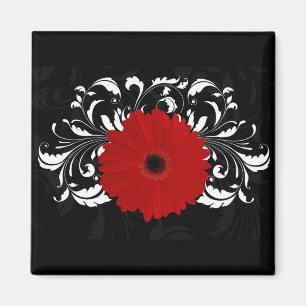Bright Red Gerbera Daisy auf Black Magnet