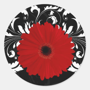 Bright Red Gerbera Daisy auf Black Runder Aufkleber