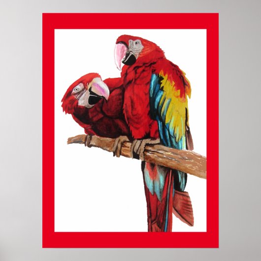 Bright Red Macaw Parrots Parrot Watercolor Poster (Vorne)